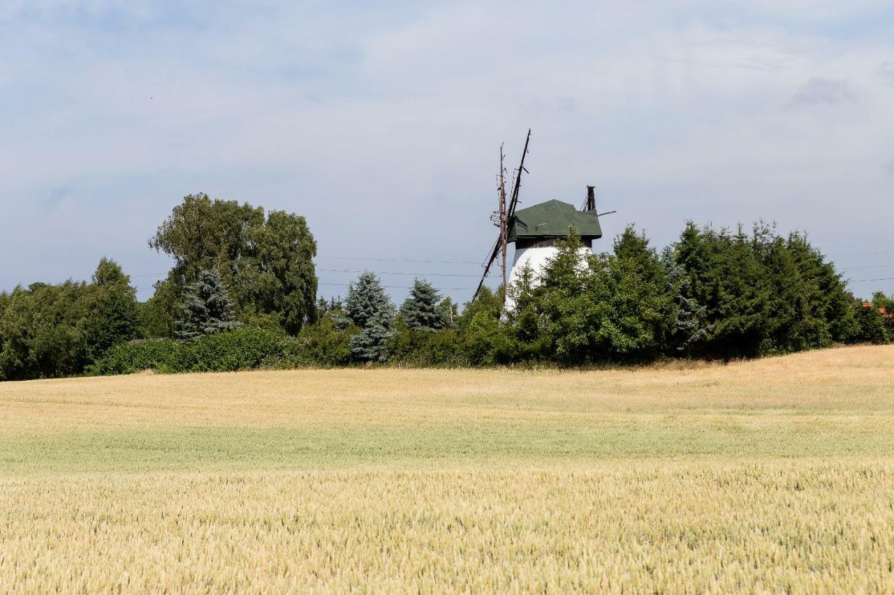 Windmill Vacation In Ledzin Near Baltic Sea Holiday home Niechorze