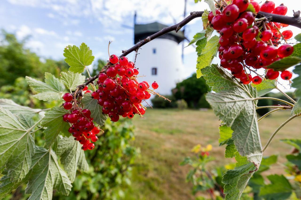 Windmill Vacation In Ledzin Near Baltic Sea Niechorze