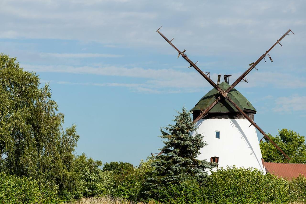 Holiday home Windmill Vacation In Ledzin Near Baltic Sea