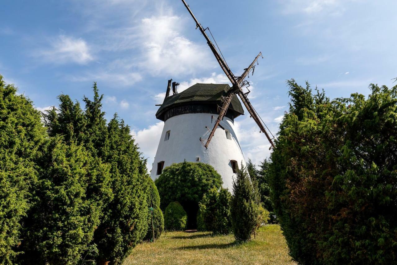 Windmill Vacation In Ledzin Near Baltic Sea Holiday home