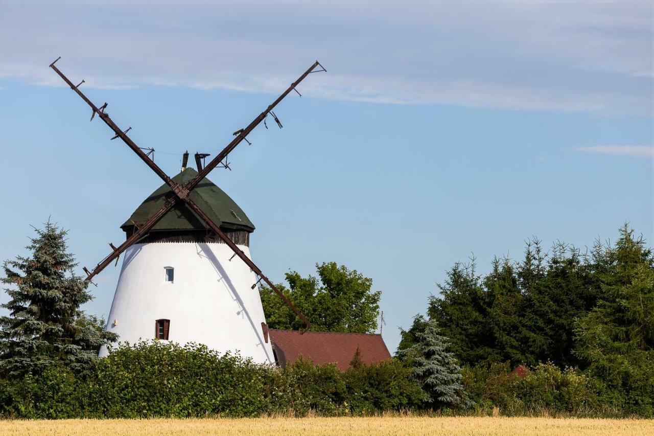 Windmill Vacation In Ledzin Near Baltic Sea * Niechorze