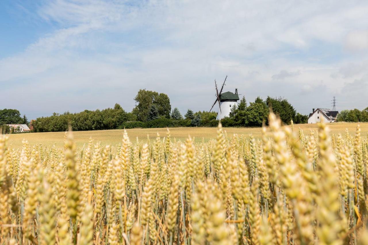 Windmill Vacation In Ledzin Near Baltic Sea * Niechorze