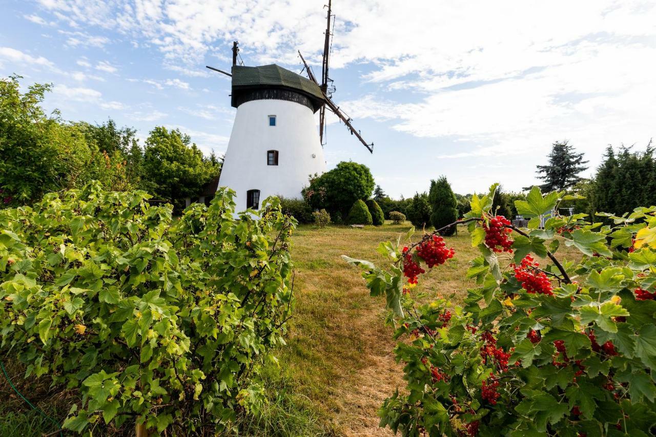 Windmill Vacation In Ledzin Near Baltic Sea * Niechorze