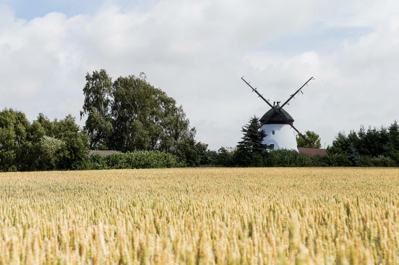 Holiday home Windmill Vacation In Ledzin Near Baltic Sea