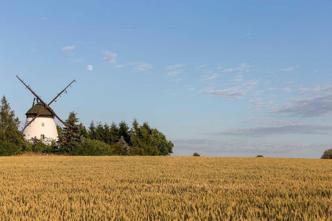 Windmill Vacation In Ledzin Near Baltic Sea Holiday home